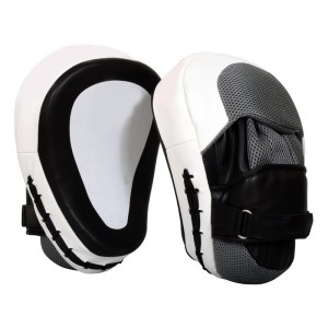 Training Focus Mitts