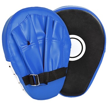 Training Targeted Focus Mitts Blue